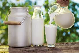 Fresh Cow Milk dairy